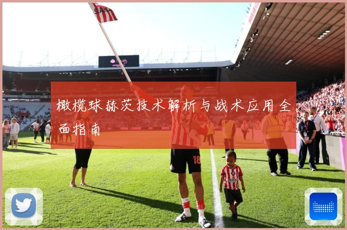 橄榄球赫茨技术解析与战术应用全面指南